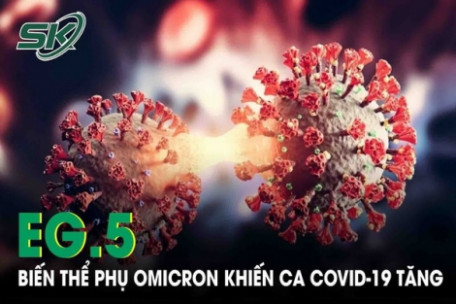 Covid nóng trở lại do xuất hiện chủng virus mới