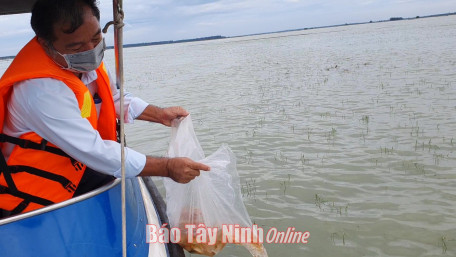 Từ 26.10 đến 26.11.2023: Nghiêm cấm khai thác thuỷ sản trong thời gian thả cá giống vào hồ Dầu Tiếng