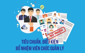 Infographics: Tiêu chuẩn, điều kiện bổ nhiệm viên chức quản lý