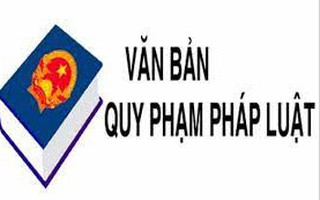 Theo dõi tình hình thi hành pháp luật năm 2024 trên địa bàn thành phố Tây Ninh