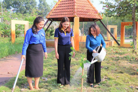 Tây Ninh: Triển khai có hiệu quả Đề án trồng một tỷ cây xanh