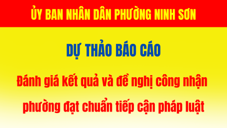 Dự thảo Báo cáo tiếp cận pháp luật