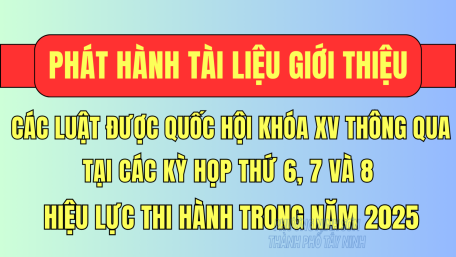 Phát hành tài liệu giới thiệu các Luật được Quốc hội khóa XV thông qua tại các Kỳ họp thứ 6, 7 và 8; có hiệu lực thi hành trong năm 2025