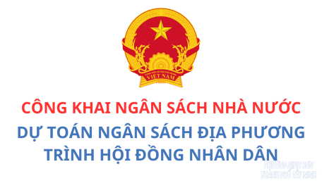 Công bố công khai dự toán ngân sách năm 2025 trình HĐND